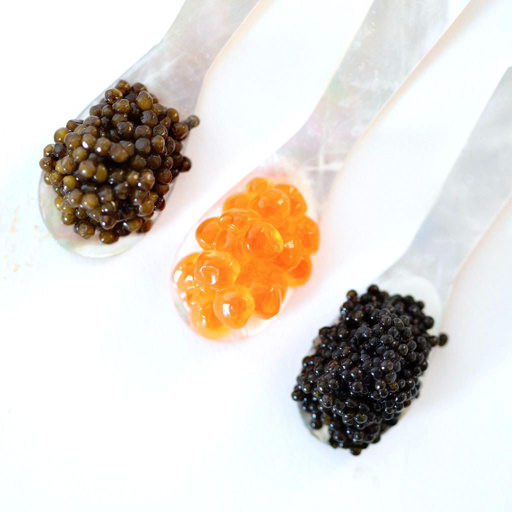 Caviar Fish caviar-fish