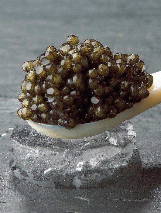 Caviar Buyers' Guide