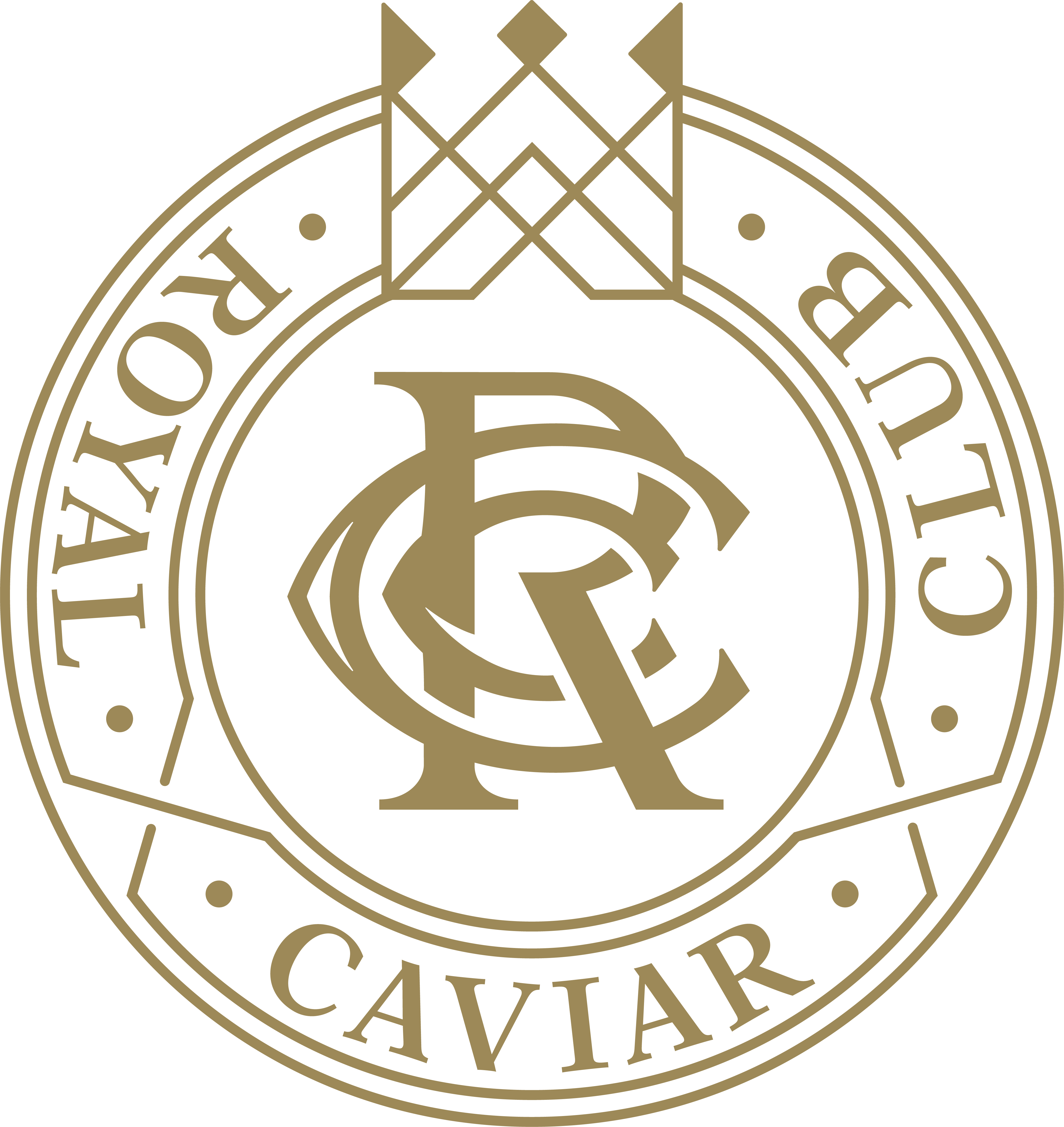 Footer Logo