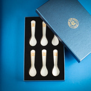 Mother of Pearl Spoon Gift Box